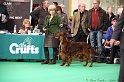 Crufts2011 724